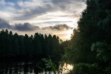 sunrise in the forest