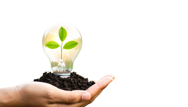 Illuminated light bulb with growing plant inside representing environmental innovation and green technology solutions isolated on solid white background in Png