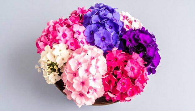 Vibrant bouquet of multi-colored phlox flowers.