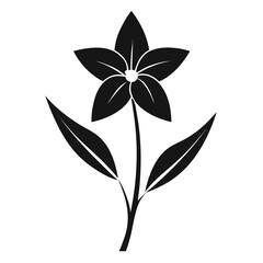 ipheion uniflorum charlotte bishop silhouette vector -on white