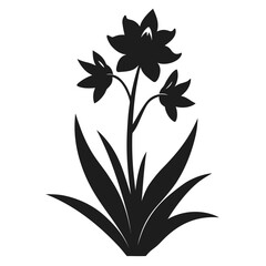 ixia longituba bellendenii silhouette vector  on-white
