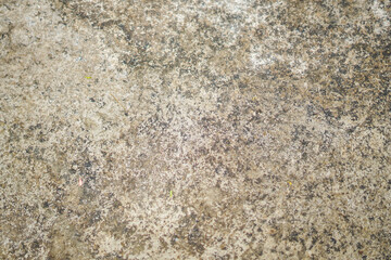 White background, white texture backgrounds cement wall Blank plaster texture in vintage style close-up of an old, cracked, and peeling white wall