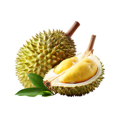 Obraz premium Durian isolated vibrant exotic fruit nature