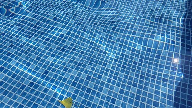 The water in the pool is blue, permeated with glitter and shimmer in the sun. Healthy lifestyle. Recreation for children.