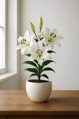 white lily flower in a vase