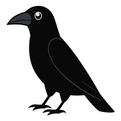 Fototapeta premium Illustration of a black crow standing on a white background coloring page