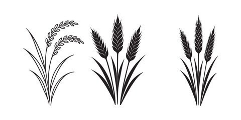 Wheat and Laurel Wreath Vector Set Agricultural Design Elements Harvest Symbols Grain Icons Organic Food Natural Products Bakery Flour Isolated on White Background © Top