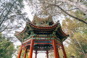 Fototapeta premium BEIJING - MAY 23 2025 White pagoda architectural landscape in the Beihai Park