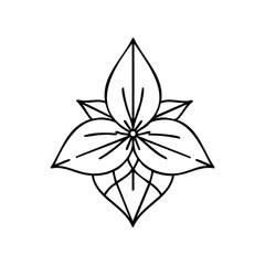 Obraz premium Ornate black and white floral design with symmetrical petals and leaves