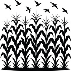 Cornfield Silhouette with Flying Birds