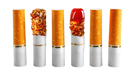 Cigarette stages: A visual depiction of the cigarette life cycle, showcasing its journey from pristine start to smoldering finish.