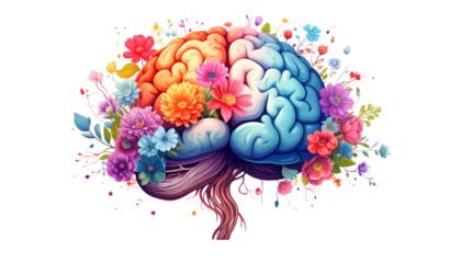 Human brain with blooming flowers inside, symbol of positive mental health, isolated on transparent background PNG