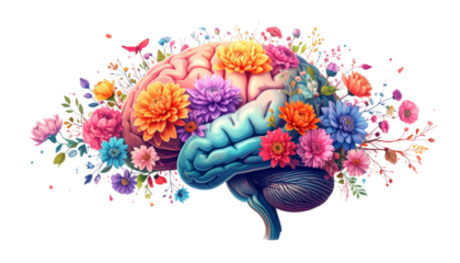 Human brain with blooming flowers inside, symbol of positive mental health, isolated on transparent background