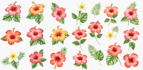 A beautiful collection of hand-painted watercolor hibiscus flowers and tropical leaves, isolated on a transparent background. © studio