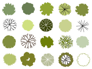 Vector set of Top view green tree for outdoor plan or map and architecture drawing, elements for environment and garden ,botanical elements ,Blooming flowers in spring,tropical plants element
