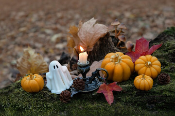 decorative pumpkins, burning candle and ghost figurine in autumn forest, nature backdrop. Samhain, Halloween background. Fall season decor. Magic ritual, witchcraft. mystery fairy tale atmosphere