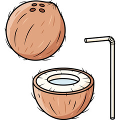 Cartoon illustration of a fresh tropical coconut, whole and cut in half with a drinking straw for a refreshing summer beverage.