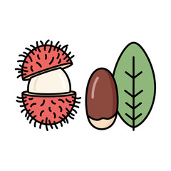 Fototapeta premium Open rambutan fruit with white pulp, seed, and green leaf. Line art icon set of a tropical, hairy lychee for healthy eating concept.