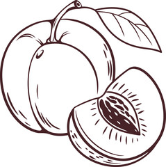 Vector illustration of fresh ripe organic fruits and vegetables like apple, tomato, and red onion