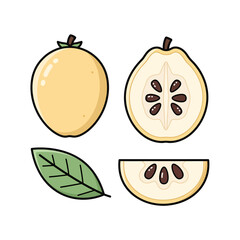 Delicious Illustration of Fresh Quince Fruit with a Leaf