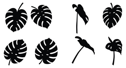 Black silhouettes of tropical leaves and birds on white background