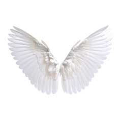 Obraz premium Wings of freedom, painted in pure white.