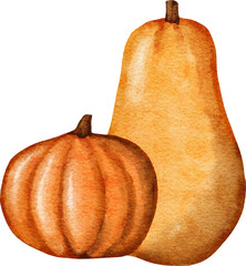 Hand drawn illustration of fall autumn pumpkin in yellow orange. Sticker for halloween thanksgiving, cozy farm farmhouse cottagecore design, paint texture. Watercolor art design.