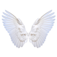 Obraz premium Wings of freedom, painted in pure white.