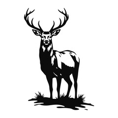 Deer silhouette standing, wild animal vector, stag in grass, deer with antlers, black white wildlife illustration	