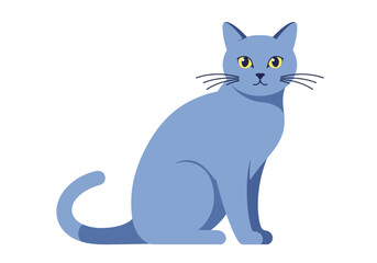 Obraz premium A light blue cat with yellow eyes sits facing forward with a curled tail and black whiskers