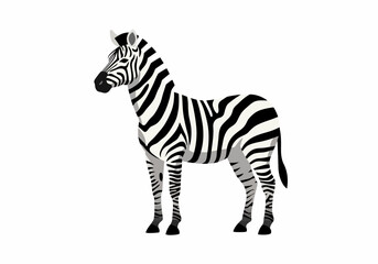 Obraz premium A zebra with black and white stripes stands against a white background