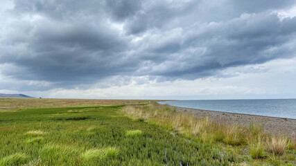 Fototapeta premium Stormy Sky Over Coastal Grasslands