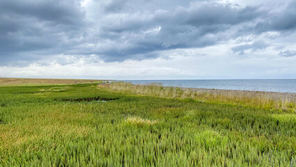 Obraz premium Grassy Coastal Landscape Under Cloudy Sky