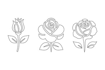 hand drawn rose line art design