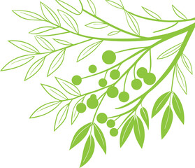 Green floral branch with berries and leaves isolated on white background, perfect for natural design, decoration, invitations, and vector artwork. Elegant botanical element. Simple modern style.