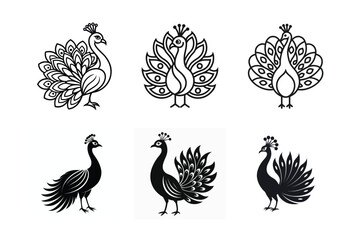 Peacock line art and silhouette vector icon set
