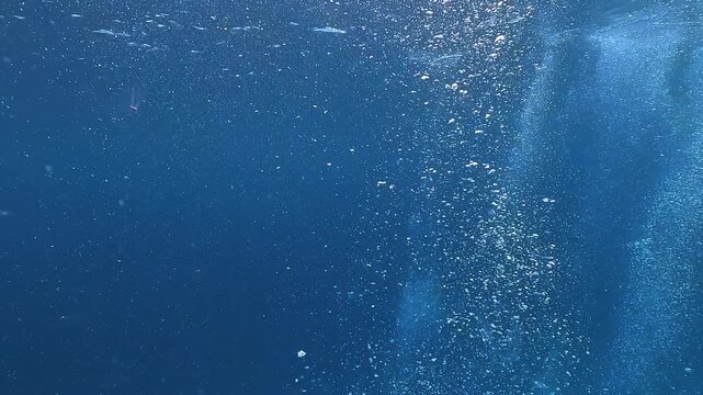 Air bubbles rising steadily through clear tropical water, forming trails toward the surface with shimmering reflections. Check my portfolio for more underwater bubble footage.