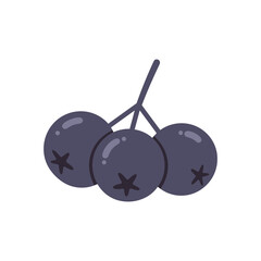 Vector illustration of a bunch of blueberries with vibrant purple color and smooth texture, symbolizing health, nature, and fresh fruit