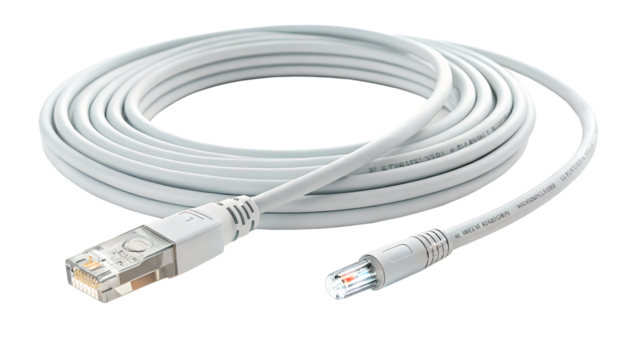 White network ethernet cable with rj45 connectors, isolated on transparent background