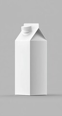 Blank white carton milk/juice container