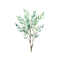 Obraz premium willow branch png