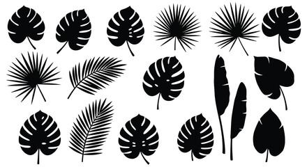 Collection of various tropical leaf silhouettes on white background