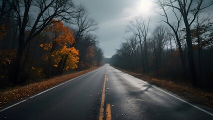 Fototapeta premium Autumn Road Lined with Bare Trees and Falling Leaves Under a Bright Sky