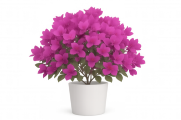 Pink azalea blooming brightly, transparent png offering seamless graphic design integration and vivid floral accent