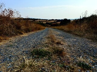 Rural gravel road through dry countryside landscape in summer