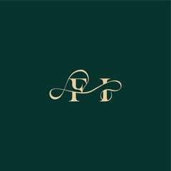 organic curve wedding FI elegant style with wavy line monogram initial logo design letter