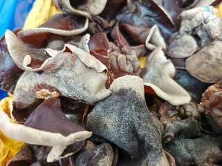 A close-up shot of wood ear mushrooms with their unique texture and dark coloration in detail.