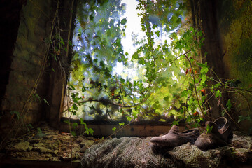 overgrown window with an old pair of shoes