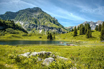 Landschaft / Österreich