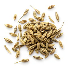 Dried fennel seeds isolated on white background, widely used as a spice, digestive aid